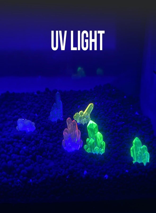 CTWPets Betta Stones Glow-in-The-Dark - Small Aquarium Decor, Luminous Betta Fish Tank Pebbles, Glow Rock Accents | 6 Pack - Image 5